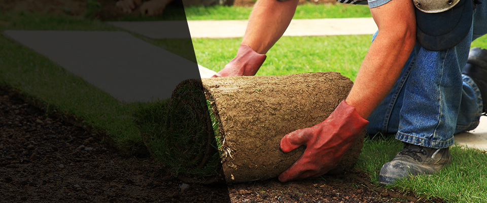 Sanford Landscapers